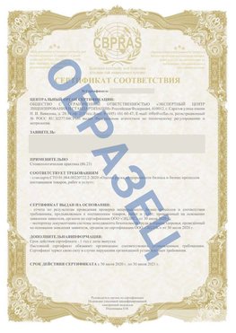 Образец Сертификат СТО 01.064.00220722.2-2020 Канаш Сертификат СТО 01.064.00220722.2-2020 